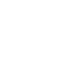 Honda Motocicletas